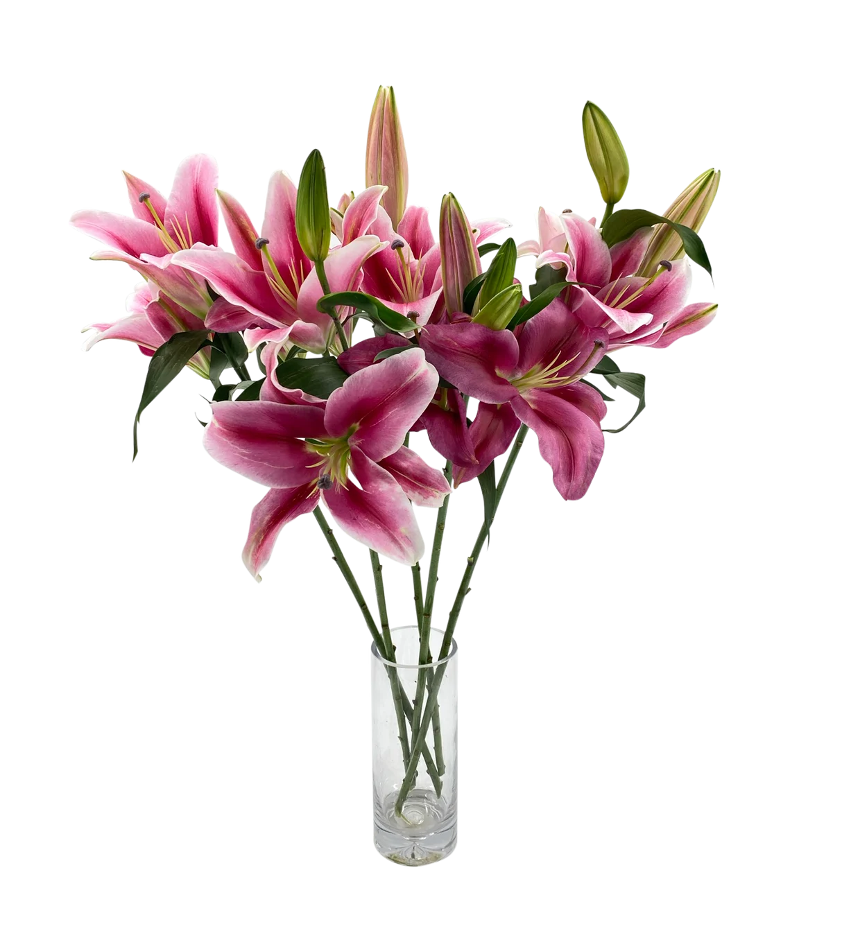 Sorbonne Multi-Head Lily – Premium Multi-Bloom Oriental Lily for Luxurious Floral Designs