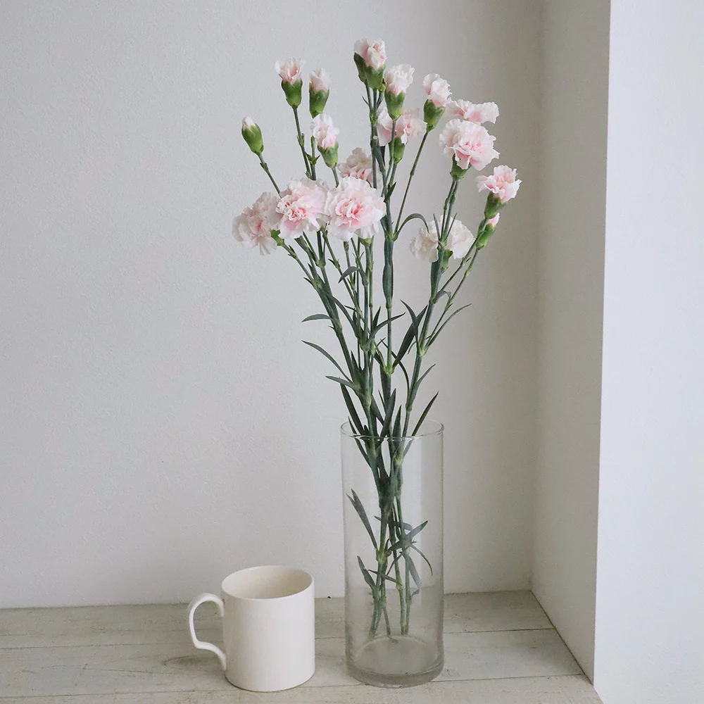 Athena Light Pink Spray Carnations – Delicate Multi-Bloom Mini Carnations for Elegant Floral Designs