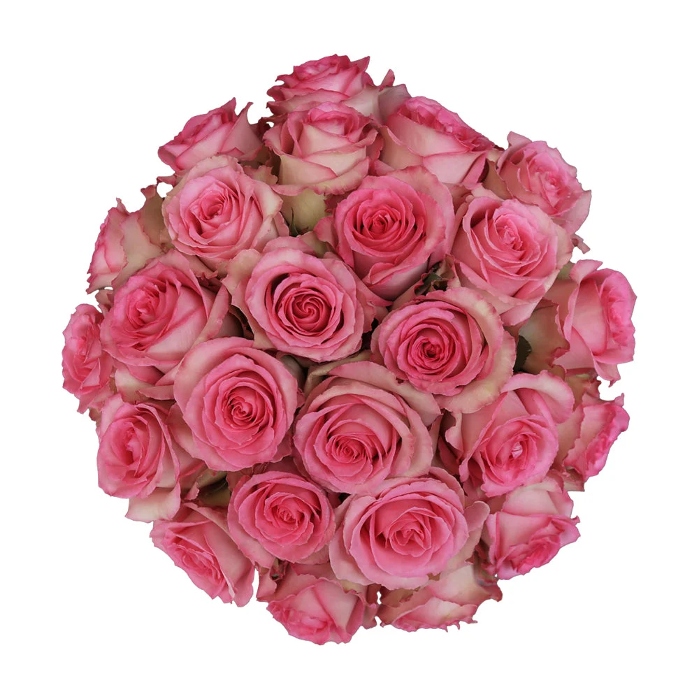Sweet Unique Rose – Elegant Soft Pink Blossoms for Romantic Bouquets & Wedding Arrangements